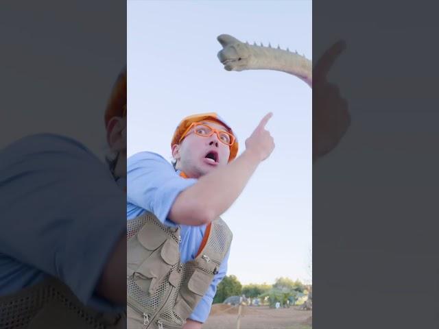 Triceratops Brachiosaurus Pterodactyl | Blippi | Kids Songs | Moonbug Kids
