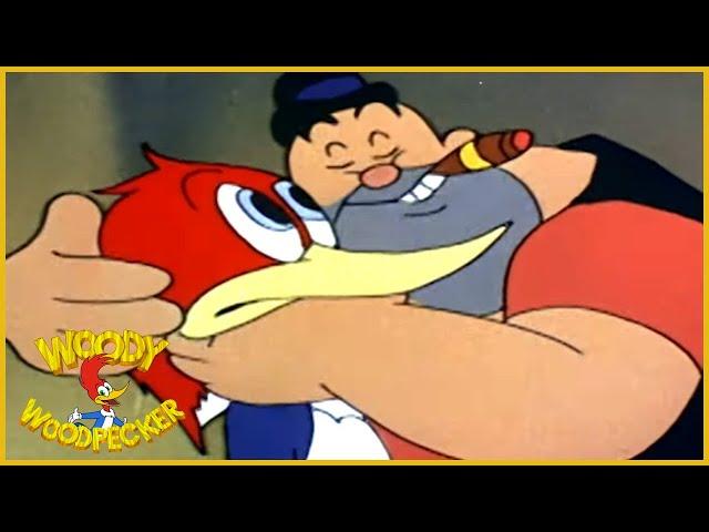 Woody Woodpecker classic | The Loose Nut | Woody Woodpecker Full Episode | *Remastered*