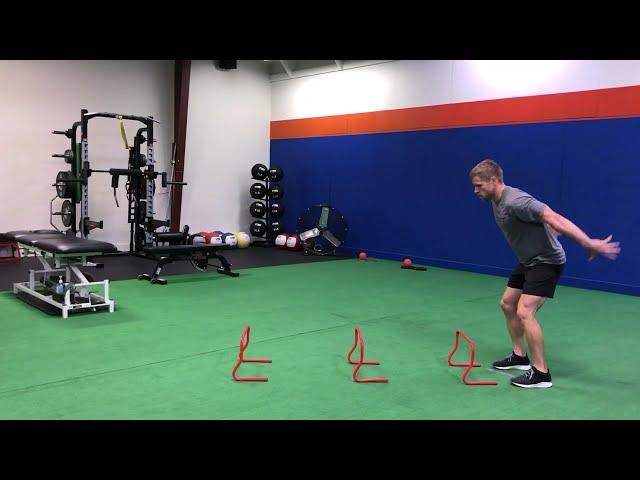 Continuous High Hurdle Jump w/stick