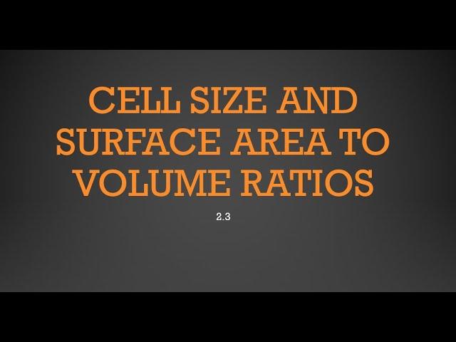 2.3 Cell Size AP Biology