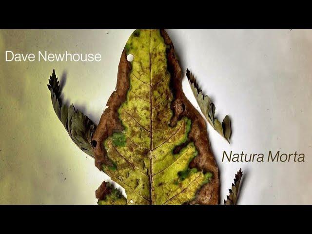 Dave Newhouse “XTensions” from the album “Natura Morta” Bandcamp