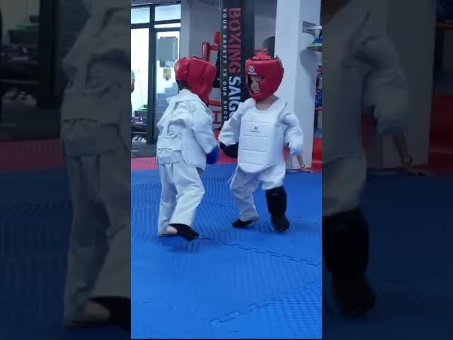 Каратэ Киокушинкай