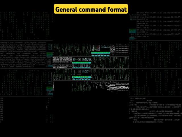 Command structure | options and arguments simplified #linux #coding #terminal #cmd