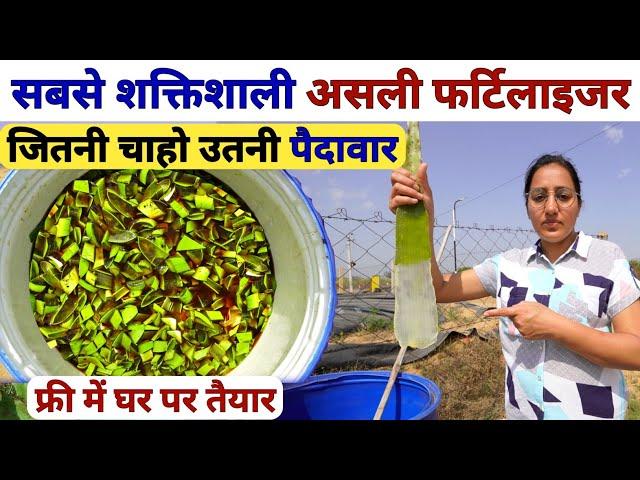 NPK fertilizer और DAP से कई गुना ताकतवर बायो एंजाइम +खाद | Aloe Vera bio enzyme | jaggery uses/kheti