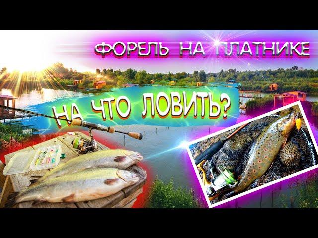 Уроки ловли форели на платнике. Как поймать форель новичку. Ловля форели на платнике Парус юг.