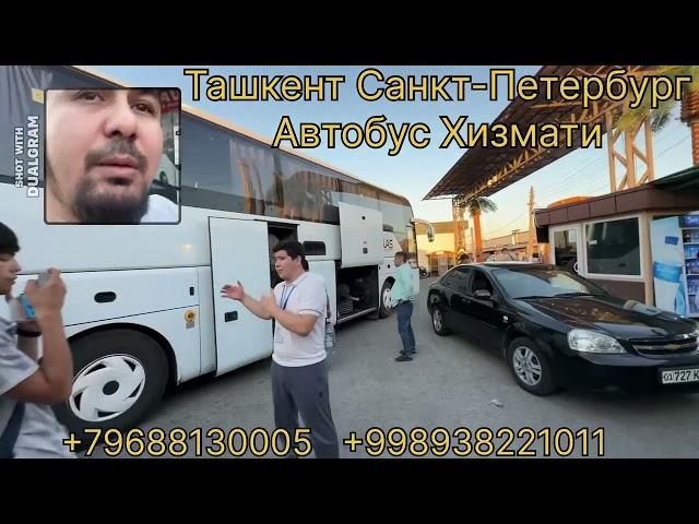 Из Узбекистана до Питера автобус билет