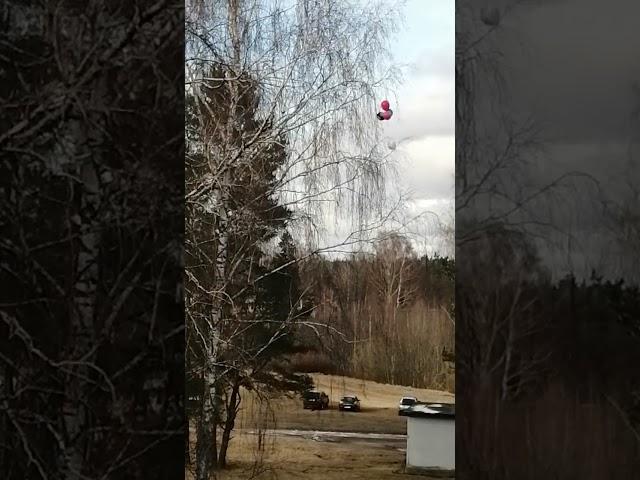 Спустя 4 часа
