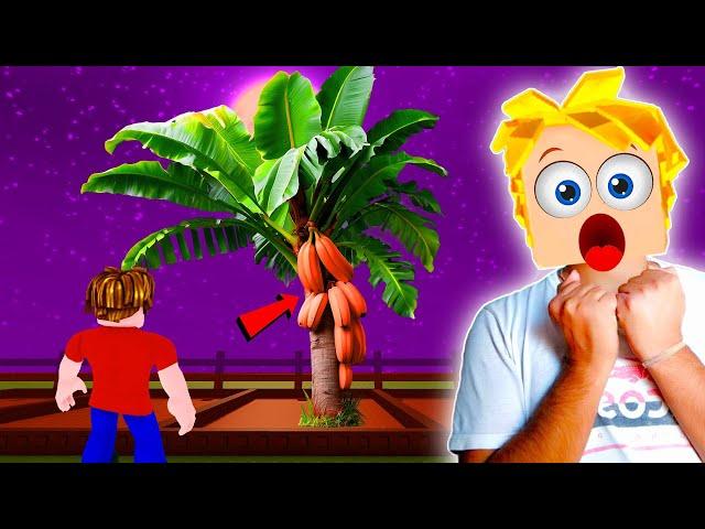 Planting Blood Banana In My Garden - Roblox Grow A Garden #4