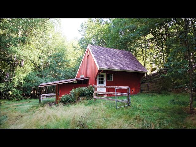 I Turned this 3-Level Abandoned Stable into a Dream Woodland Tiny House