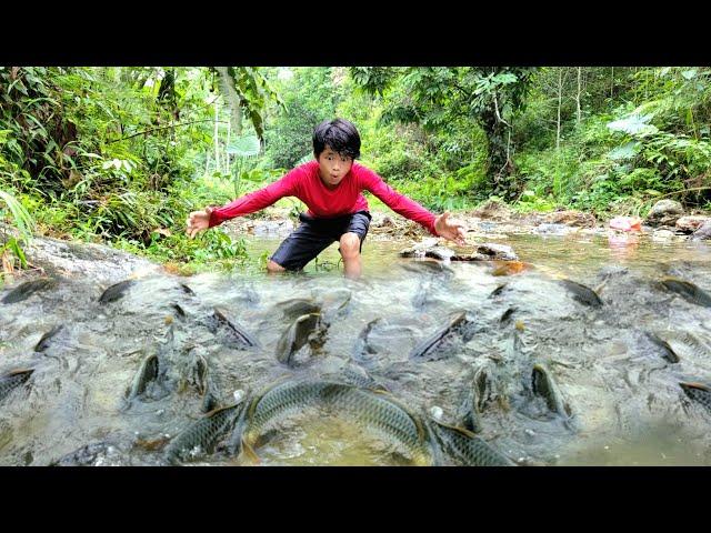 discovered a school of fish. The boy went to get crushed leaves to stun the fish to catch them.