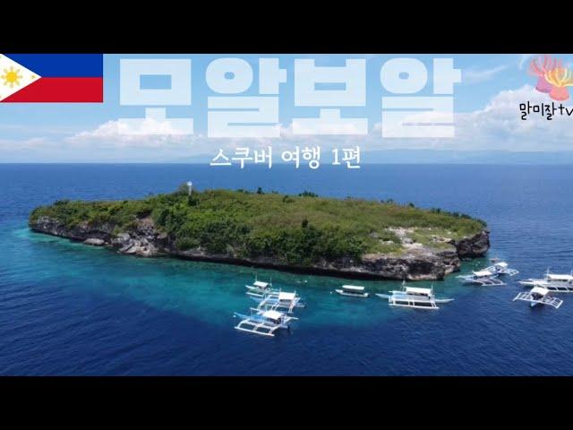 세부 모알보알 스쿠버 여행 / 패스카도르 / 스킨스쿠버/ 더쉼다이브리조트 / 스쿠버다이빙 / 스노클링/ 레촌 / 고프로11