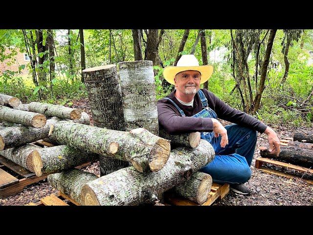 Growing Lion's Mane Mushrooms Using The Totem Method