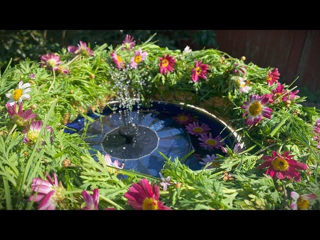 Endlich Sommerfeeling mit Solar Springbrunnen * Viele schöne Varianten * Solar water fountain