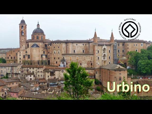 Urbino