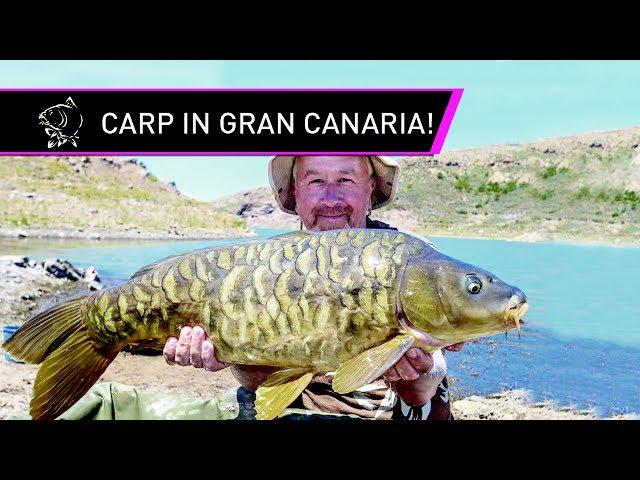 Steve Briggs Carp Fishing in the Canaries!