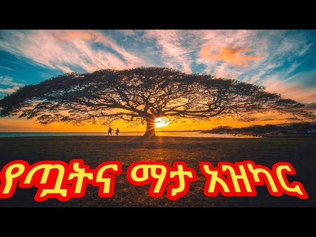 የማታ አዝካር #azkarul_sebah_wel_mesae #tvafrica #minbertv