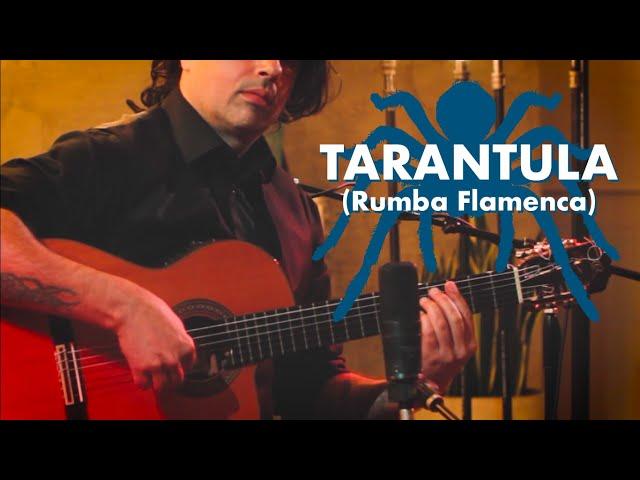 Ben Woods - Tarantula - Flamenco Guitar (Ortega)