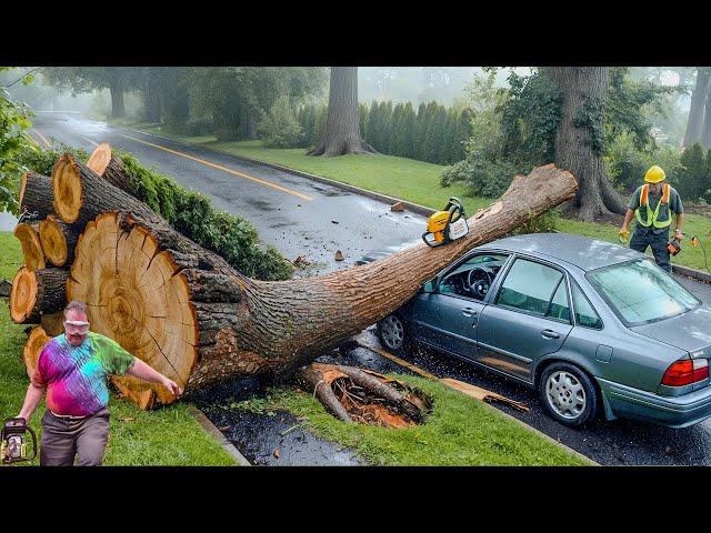 Dangerous Fastest Idiots Cutting Tree Fails Skill With Chainsaw | Tree Falling on Houses #4