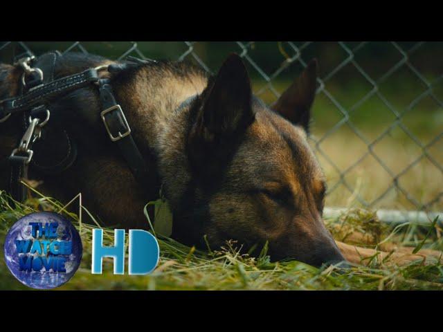 Max 2|Max Dog Save TJ Scene|Movie clip HD|Watch Movie HD