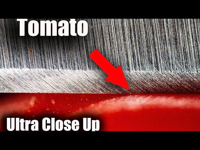 Coarse Grit Knife Edges Are Weird - Coarse Vs Fine grit Edges Cut Under Microscope