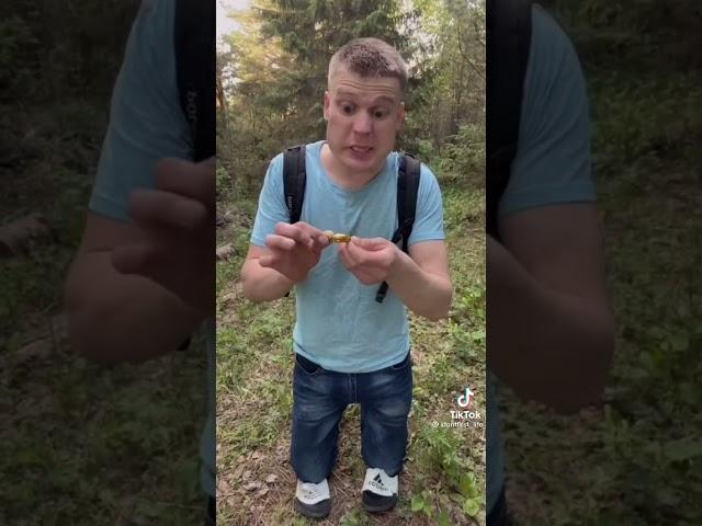 лайфхак как испортить жизнь муравьи
