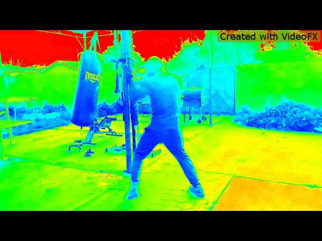 Stockboy Fitness