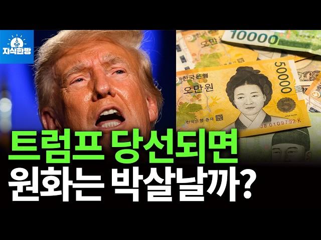 트럼프 당선되면 원화를 박살낼까? (박종훈의 지식한방)