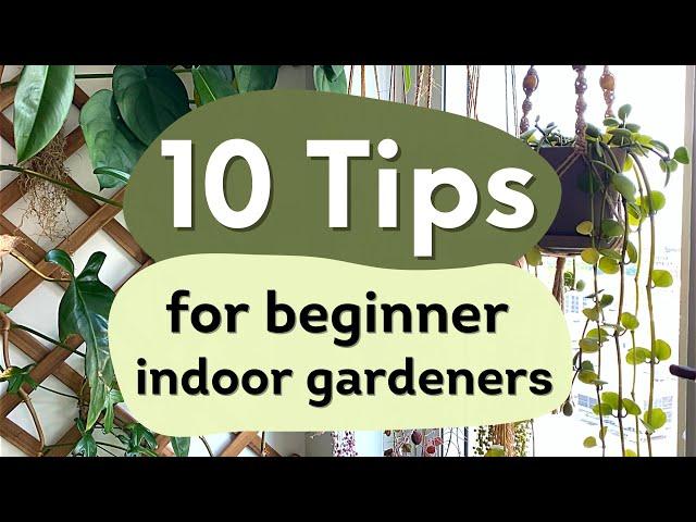 10 Tips For Beginner Indoor Gardeners