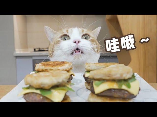 What family? Feed the cat such a big burger! The return of the foodie cat | SanHua Cat Live