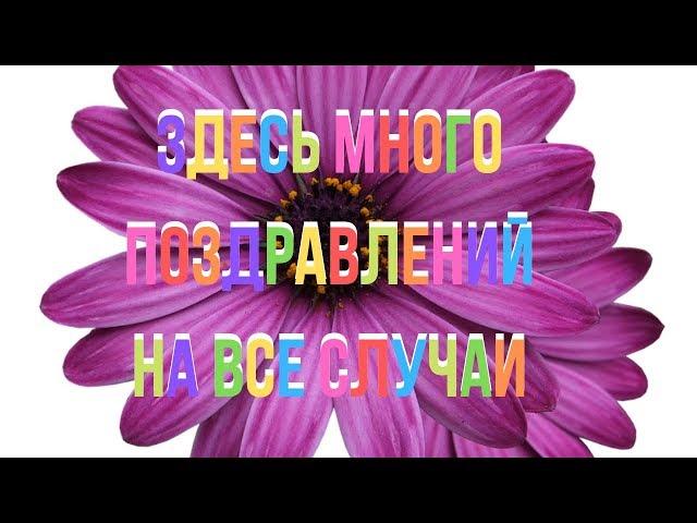 Поздравления в стихах. Поздравления на все случаи. Поздравительные стихи. Поздравуха