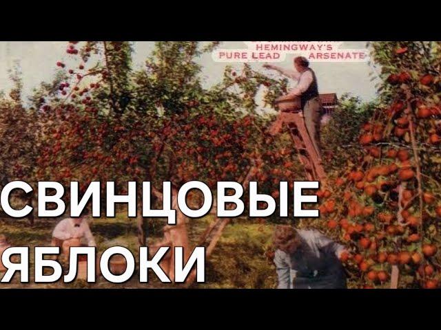 Ядовитое наследие старого Мичиганского сада #сша