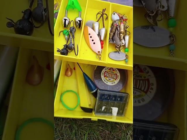 мы на рыбалке