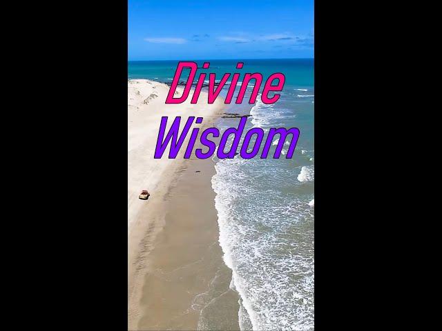 Divine Wisdom #shorts #spirituality #divinewisdom #ascension
