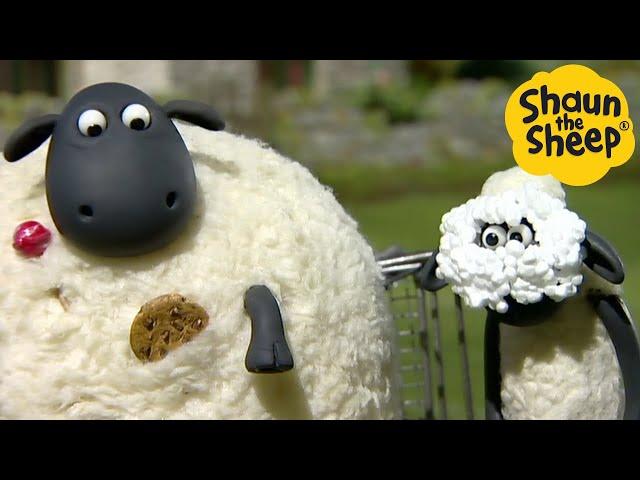 Shaun the Sheep  Cookie on the floor! - Cartoons for Kids  Full Episodes Compilation [1 hour]