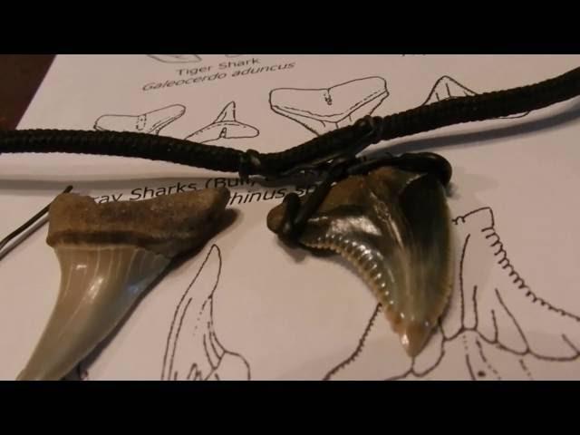 How to Mount a Sharks Tooth on a Necklace