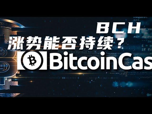 BCH涨势能否持续？