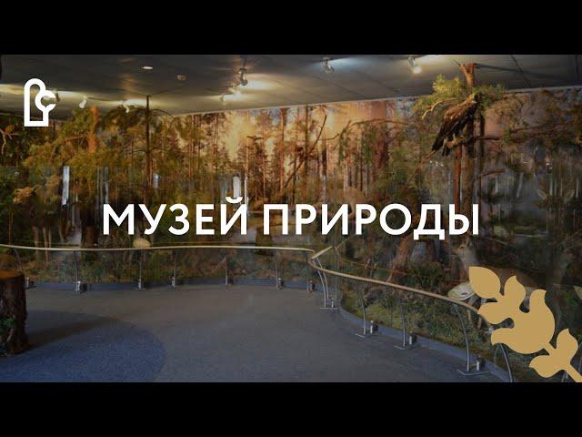 Музей природы