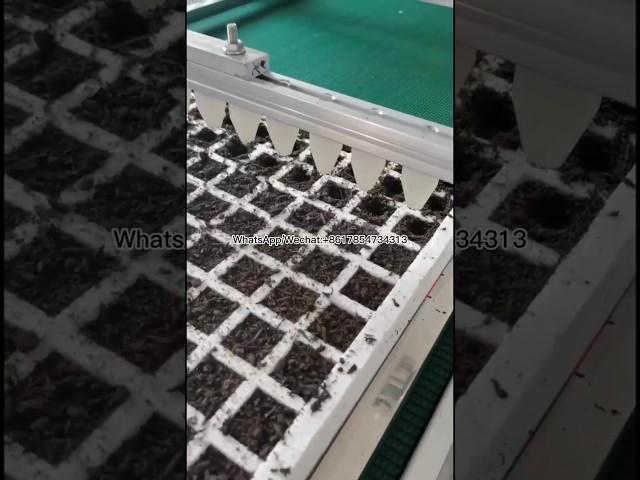 Foam seedling tray, vegetable seed precision point broadcastor