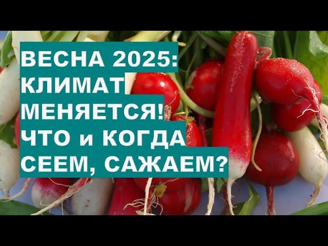 ВЕСНА 2025: Климат Меняется! ЧТО САЖАЕМ РАНО?