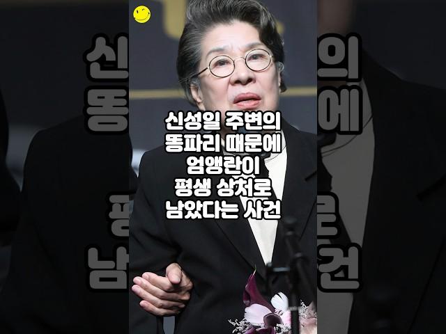 신성일 주변의 똥파리 때문에 엄앵란이 평생 상처로 남았다는 사건