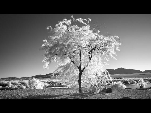 Infrared Photography - What is IR? Basics tutorial