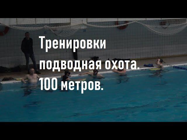 Тренировки подводное плавание.  100 метров в бассейне.  Подводная охота.