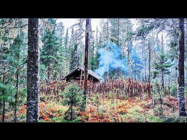 В ТАЙГУ НА НЕДЕЛЮ. Рыбалка на таёжной реке в Сибири. Хариус. Ленок. Изба охотника.