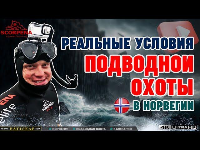 Вылез на скалу.Реальные условия подводной охоты в Норвегии