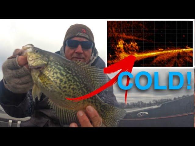 Winter Crappie (Schools of fish)