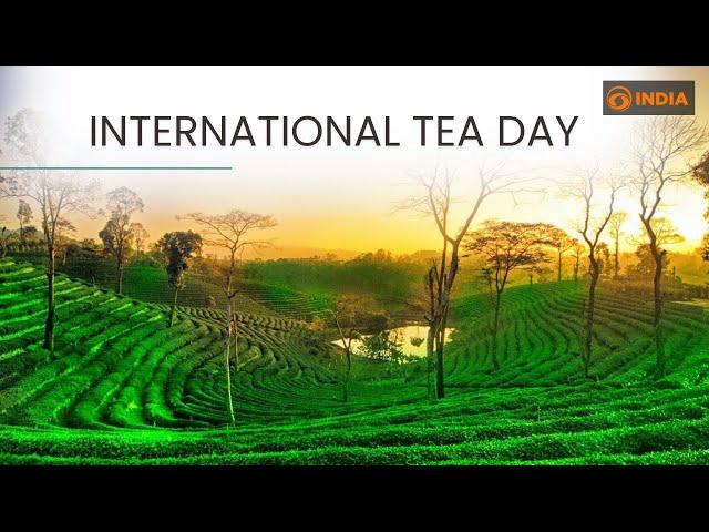 International Tea Day l Celebrating history, culture & significance of tea 