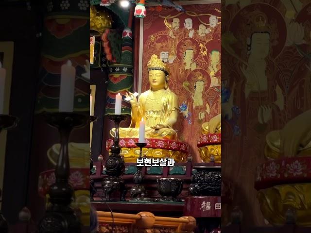 옴마니반메훔 석가모니부처님, #소원성취 #재물 #건강 발원 / 서울 관악구 관음사