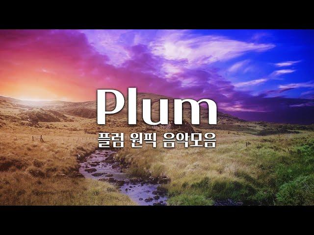 【𝐏𝐥𝐚𝐲𝐥𝐢𝐬𝐭】 작곡가가 직접 고른 원픽 자작곡 플레이리스트! / Plum 음악 모음 (중간광고 X)