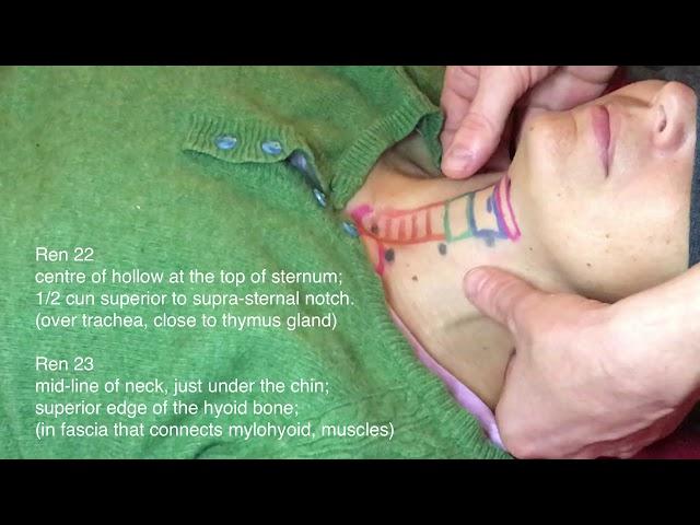 Acupuncture Points of the Anterior Neck - Danny Blyth