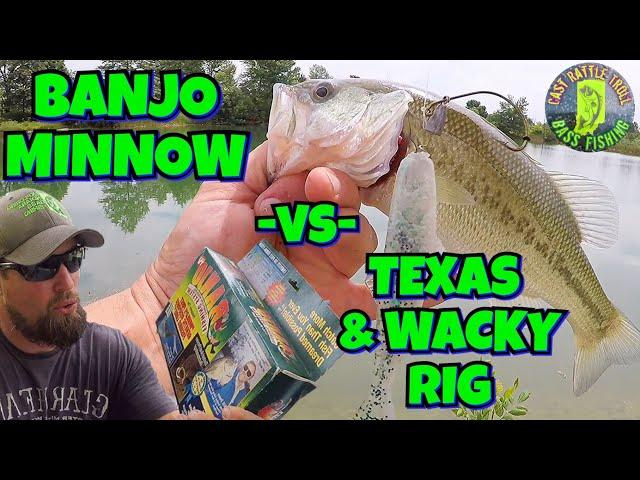 BANJO Minnow Vs. Modern RIGS (Wacky & Texas) Bass Fishing